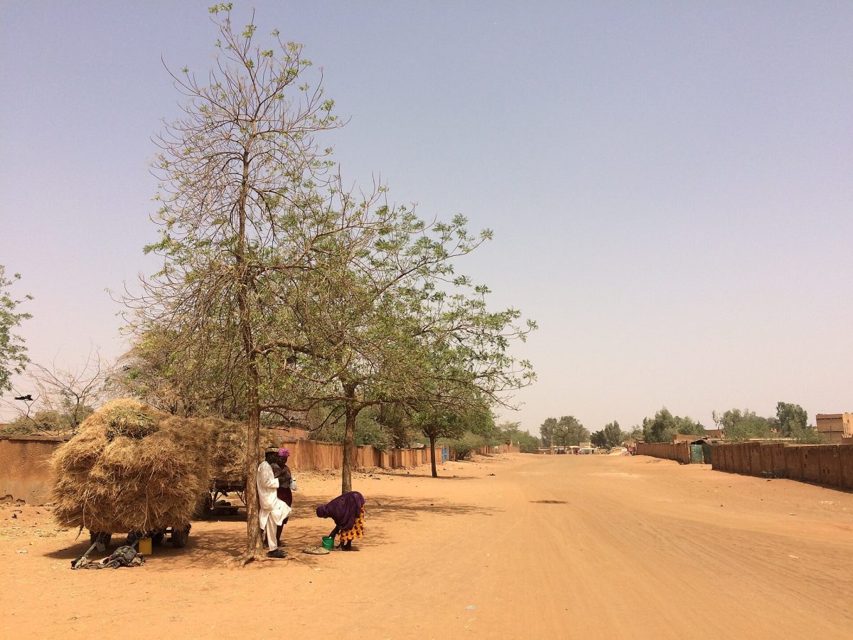 Zinder Park