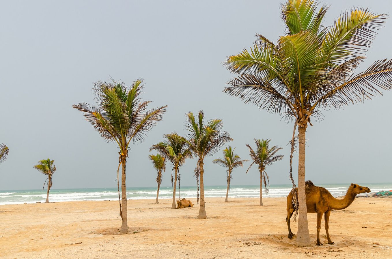 Al-Mughsayl Beach