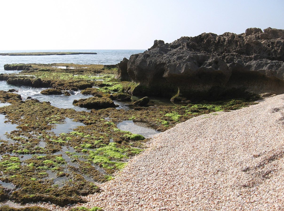 Dor Beach