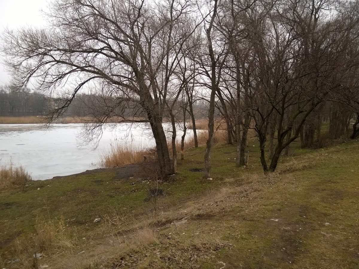 Пляж Криби