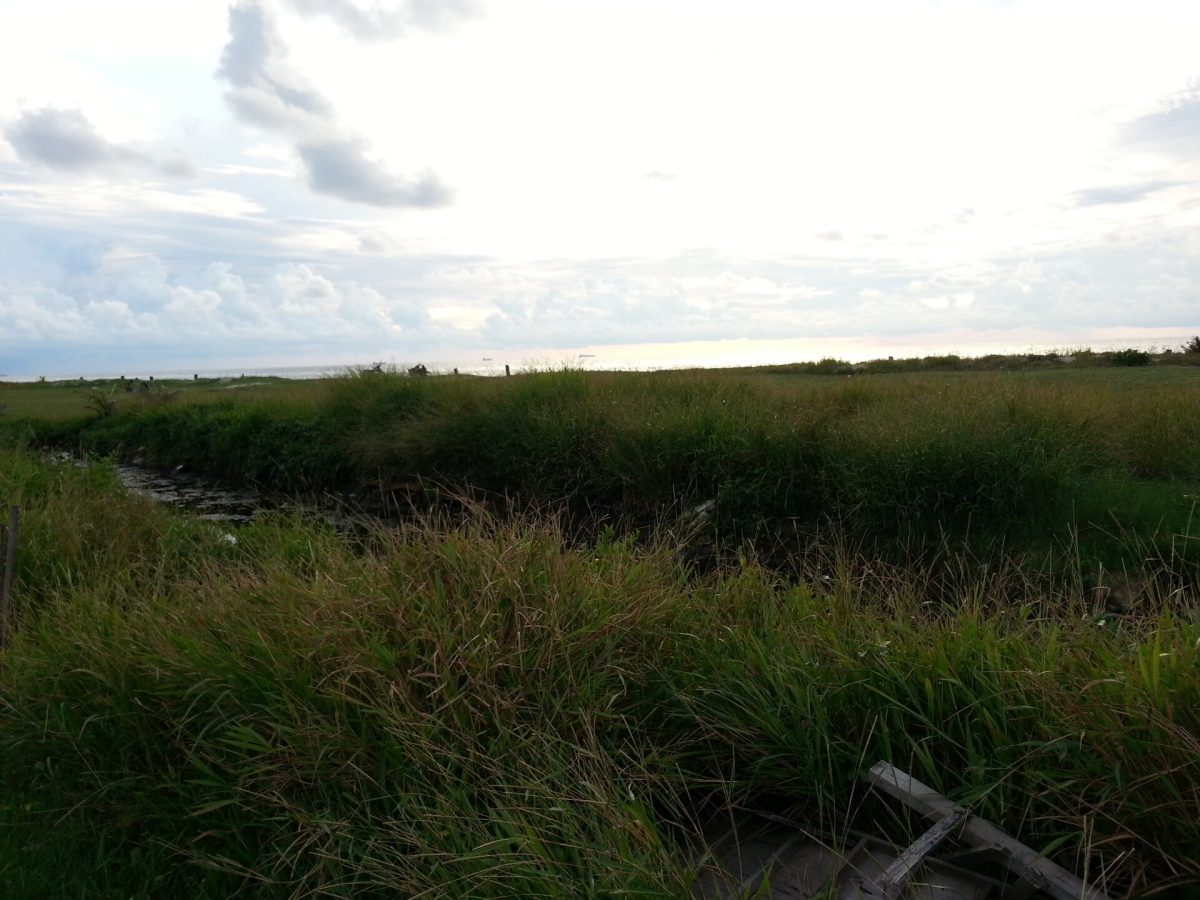 Lutong Beach