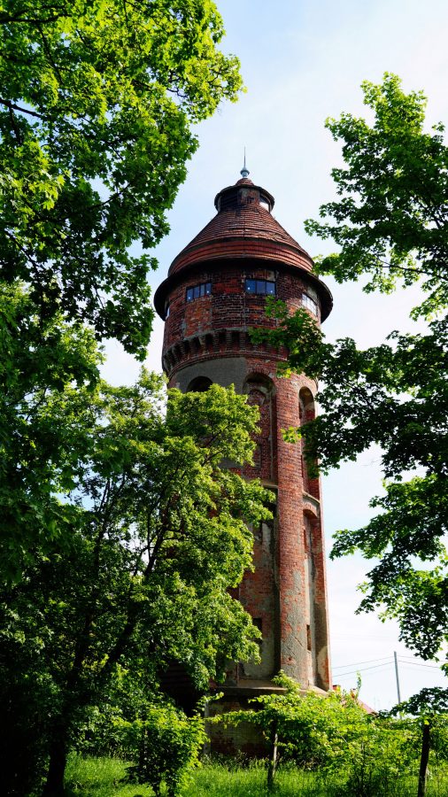 Primorsky Park