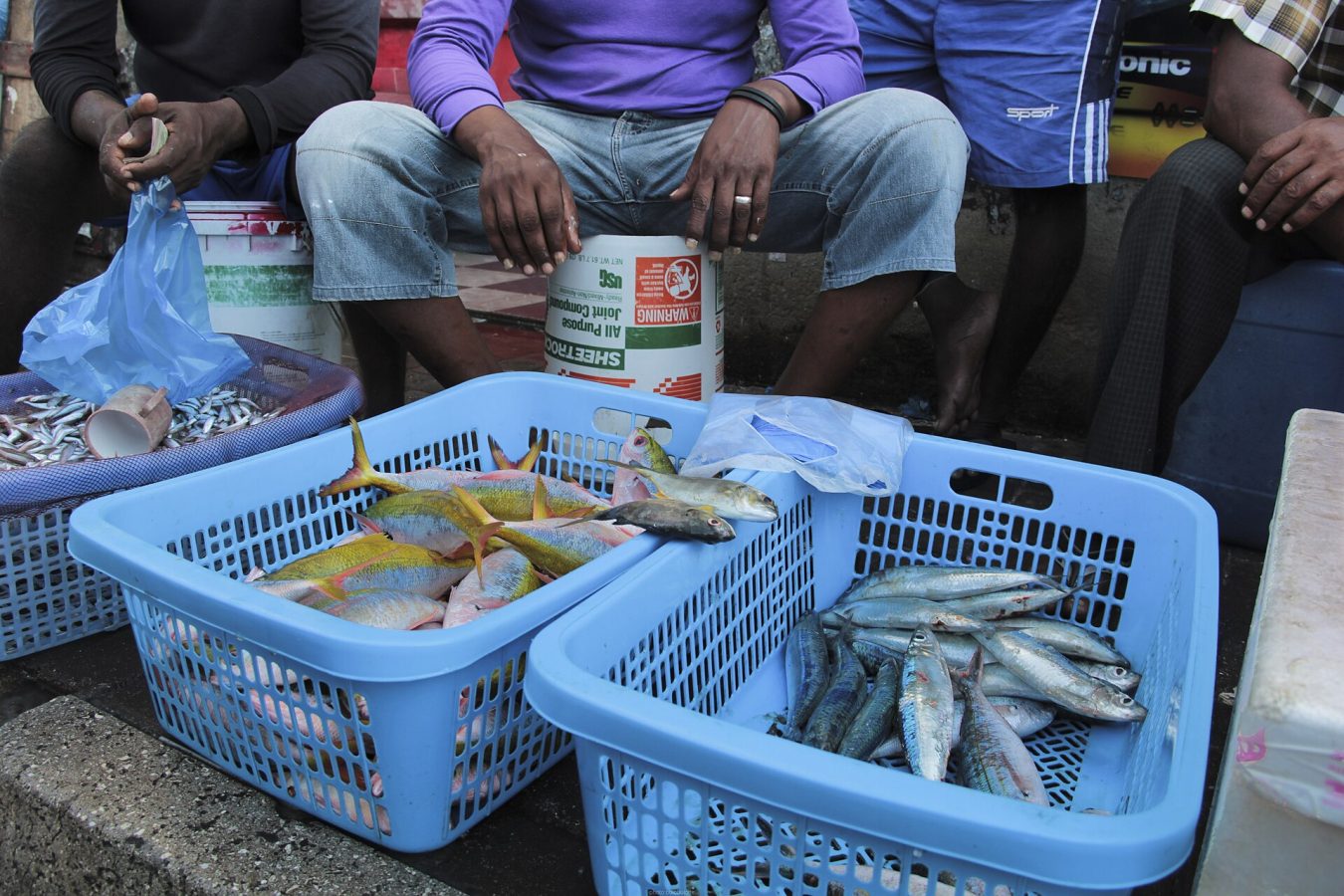 Malé Fish Market