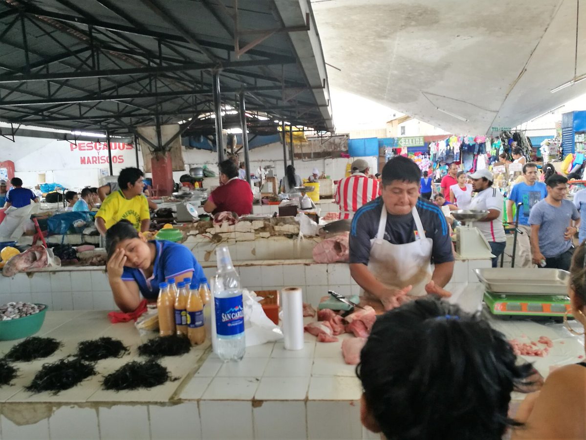 Modelo Market