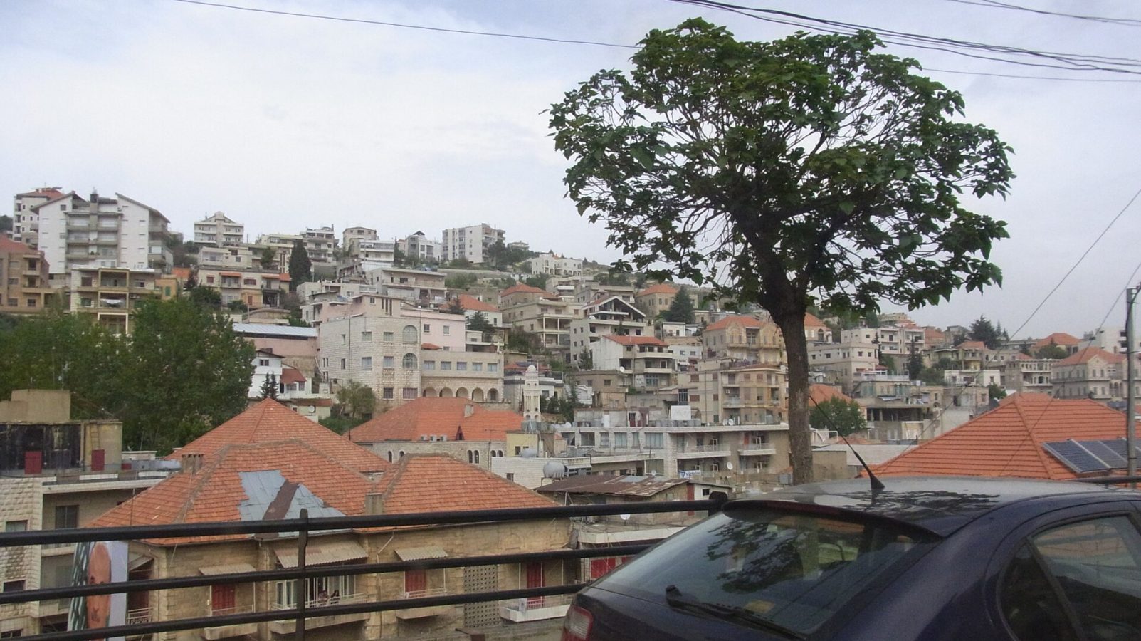 Zakhly Market