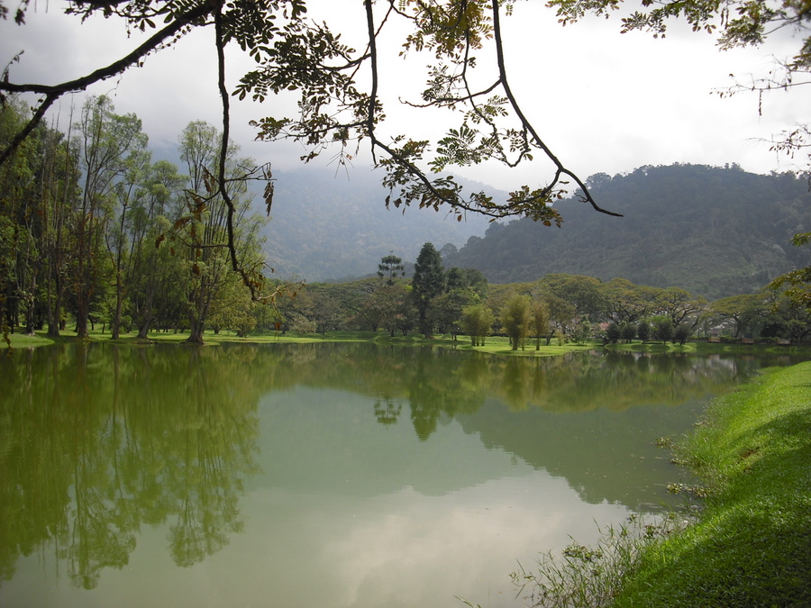 Taiping Gardens