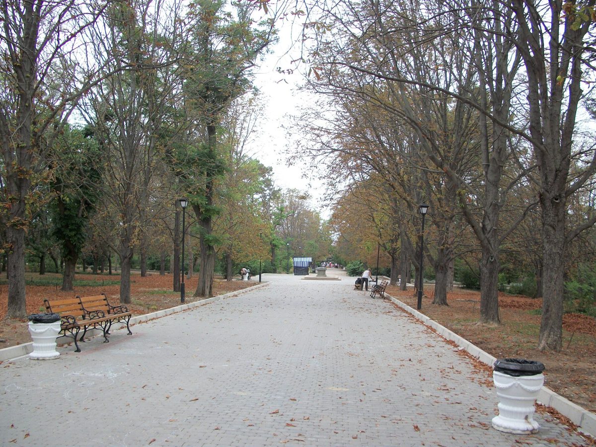 Сакский курортный парк