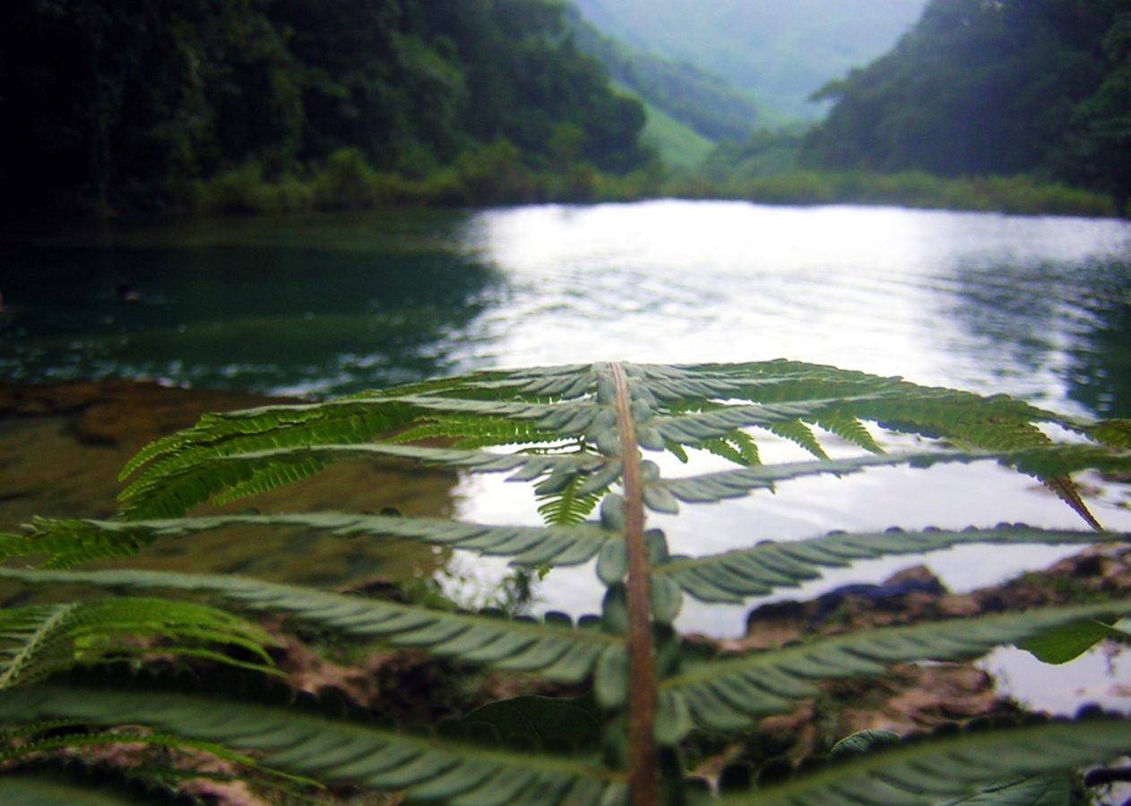 Semuk-Champey