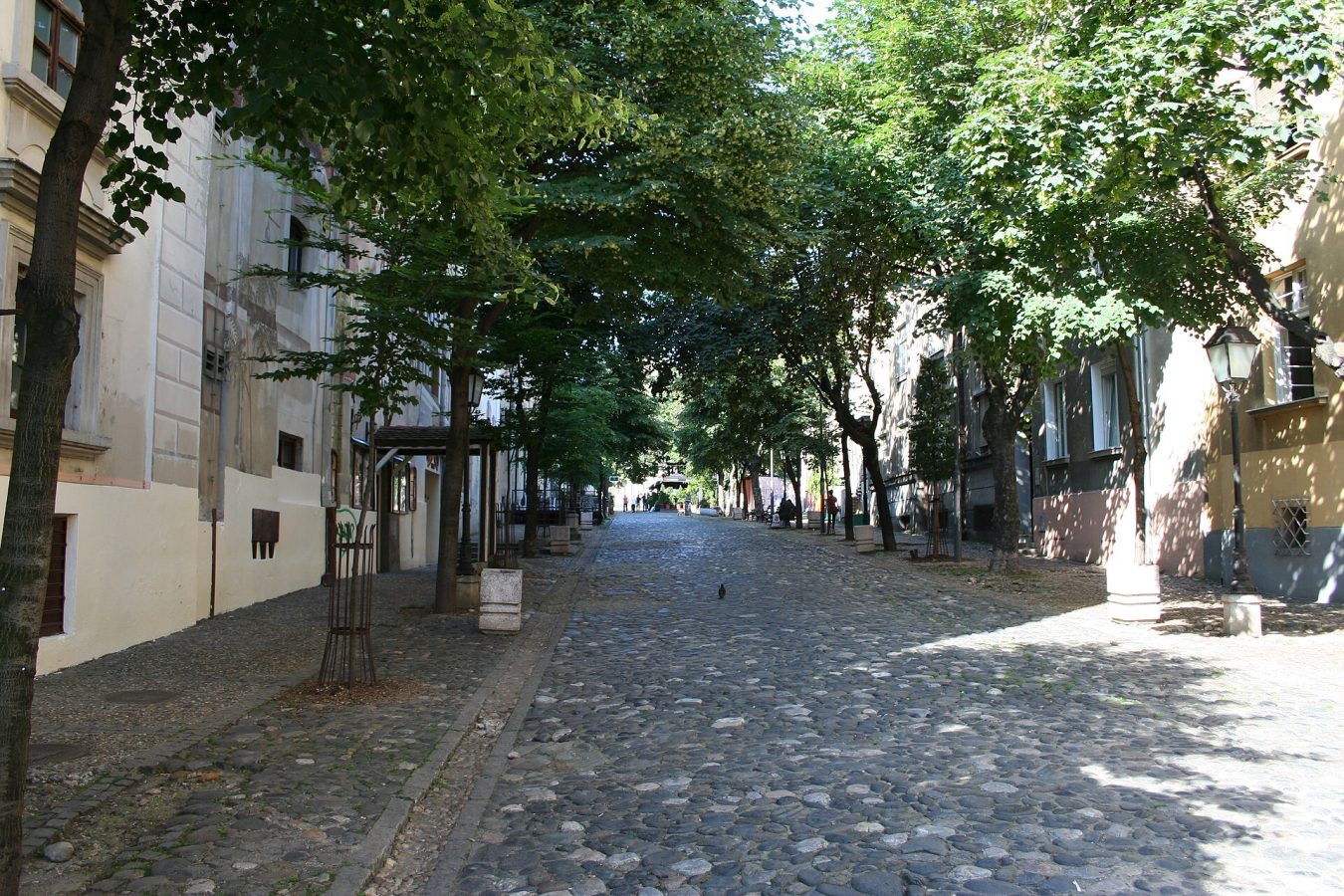 Скадарлия