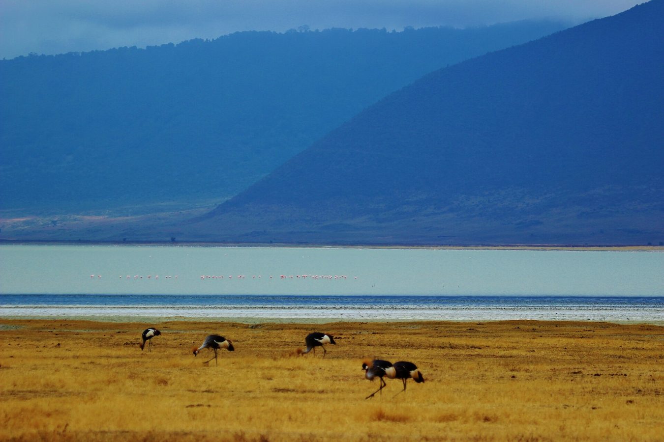 Ngorongoro Crater Viewpoint