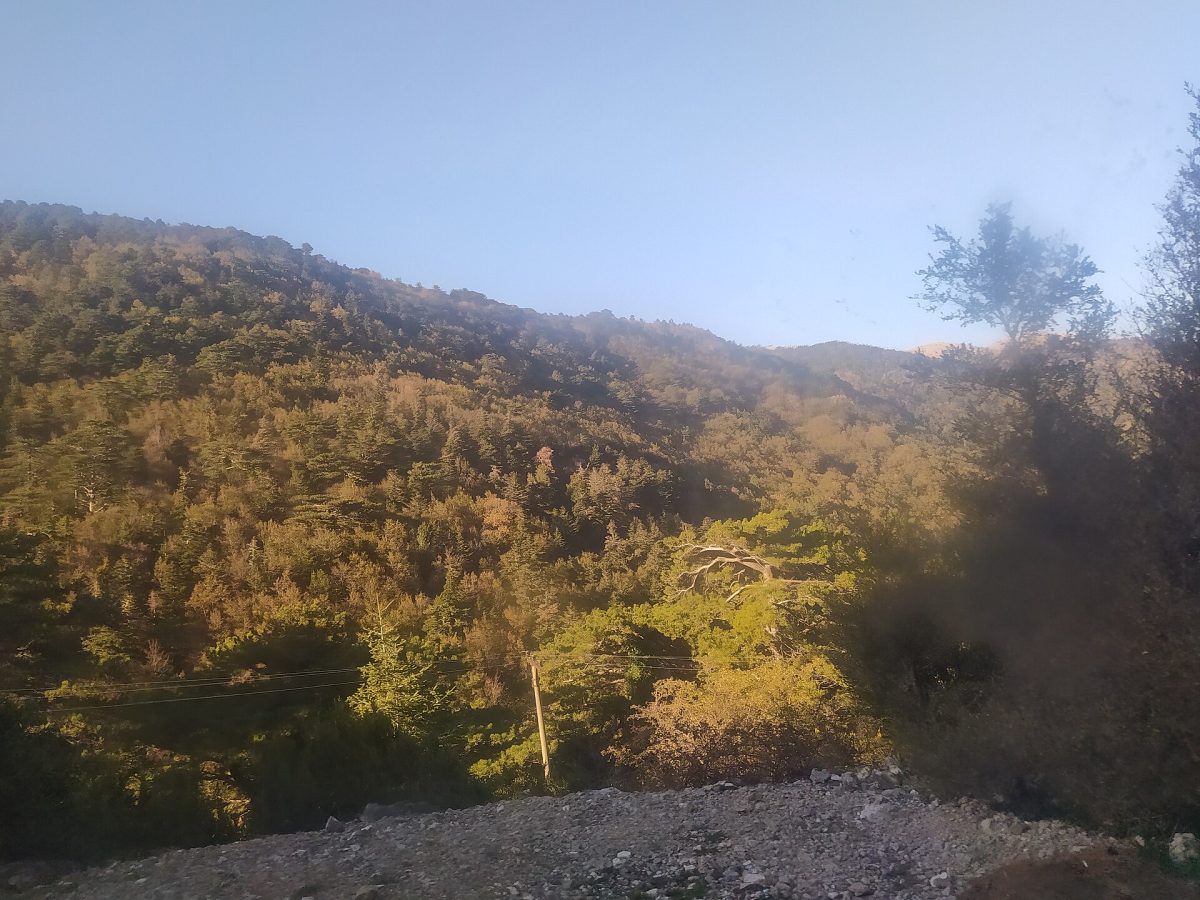Lycurgus Mountain Viewpoint