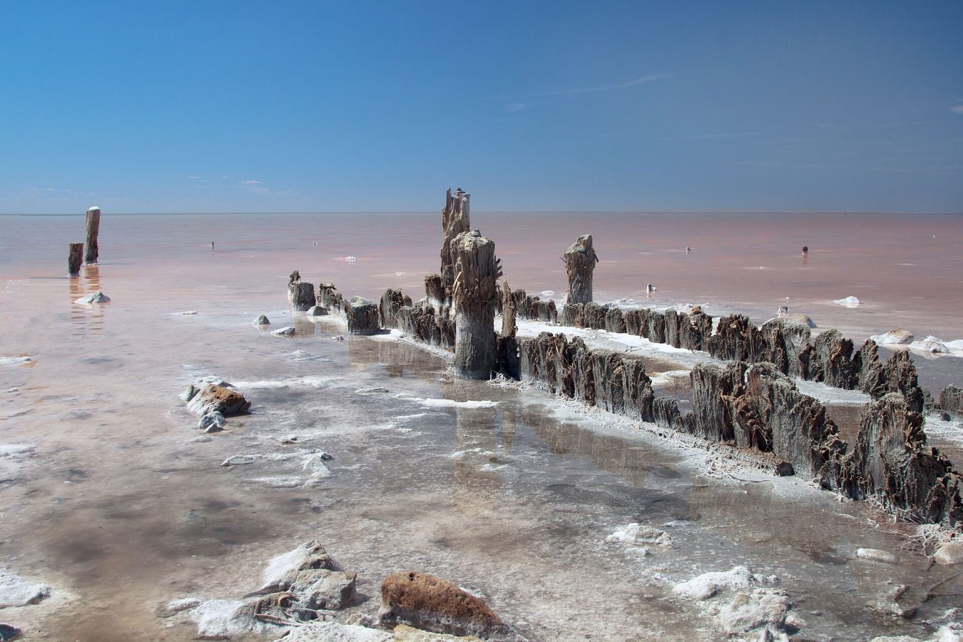 Elton Salt Lake