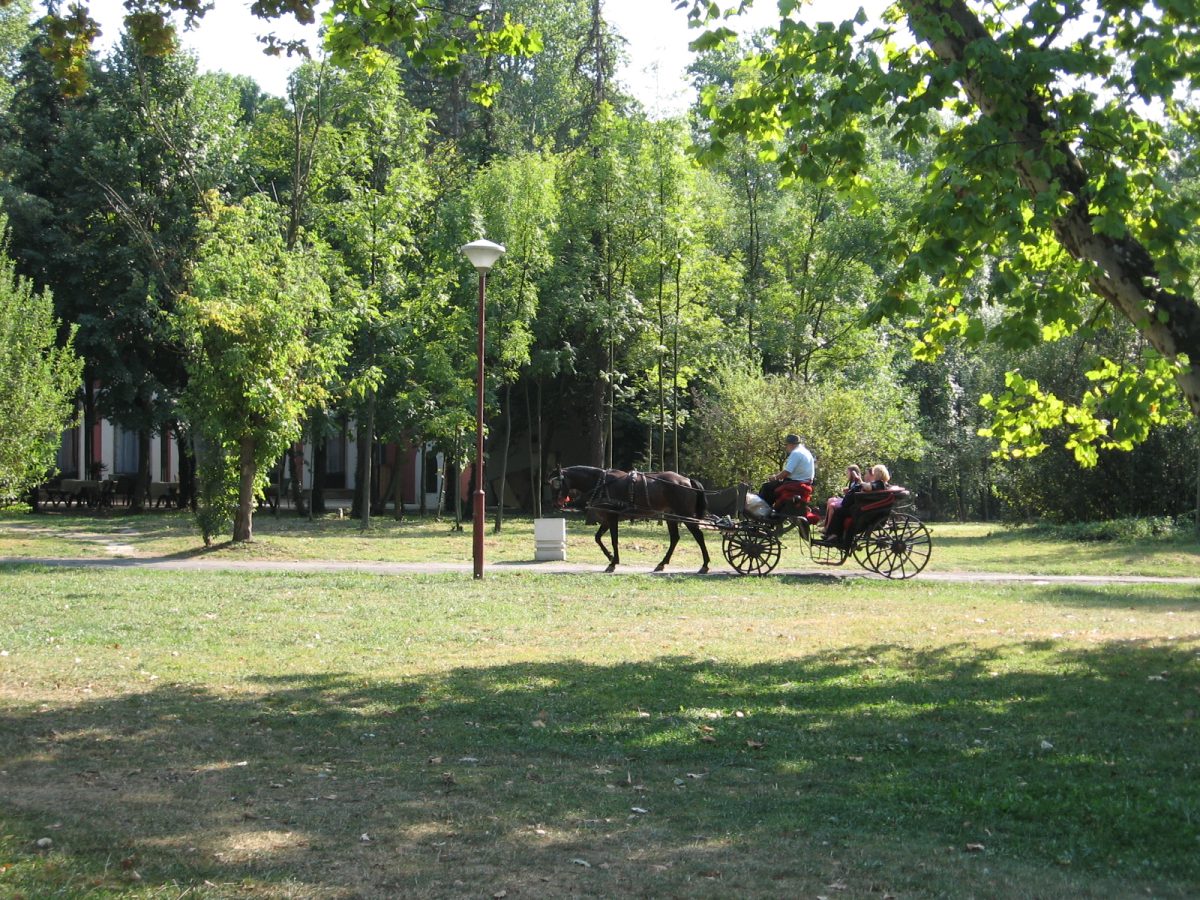 Topčider Forest