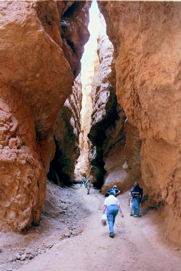 Navajo Loop Trail