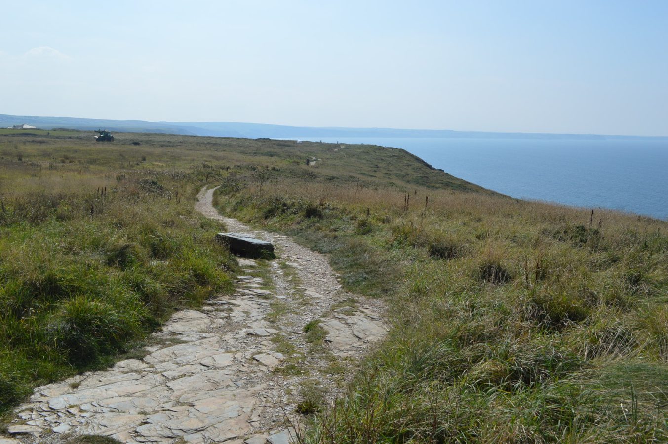 Tintagel Coastal Cliffs Trail