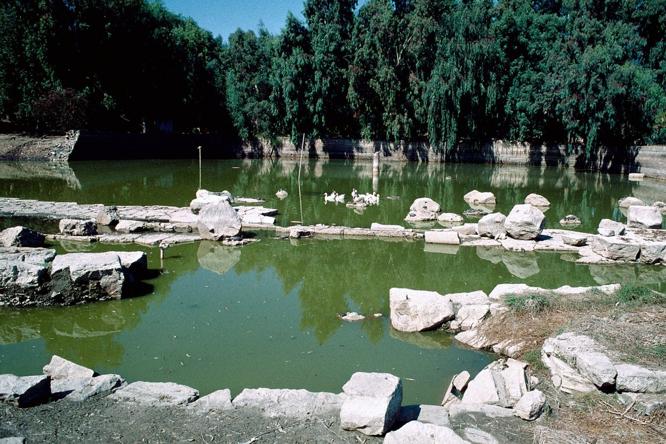 Temple of Artemis